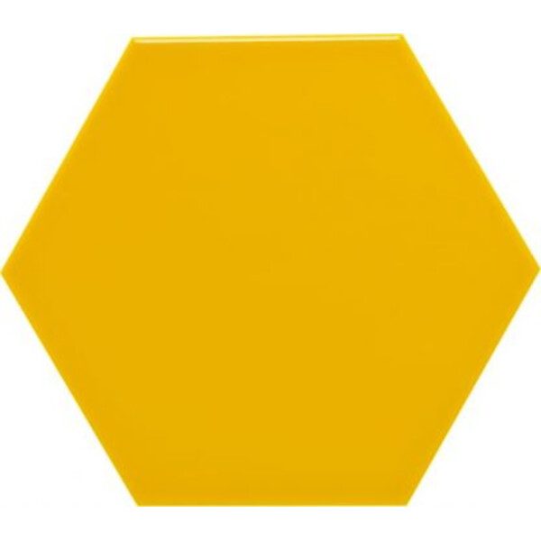 20X23 EXA GONE JAUNE – Image 2