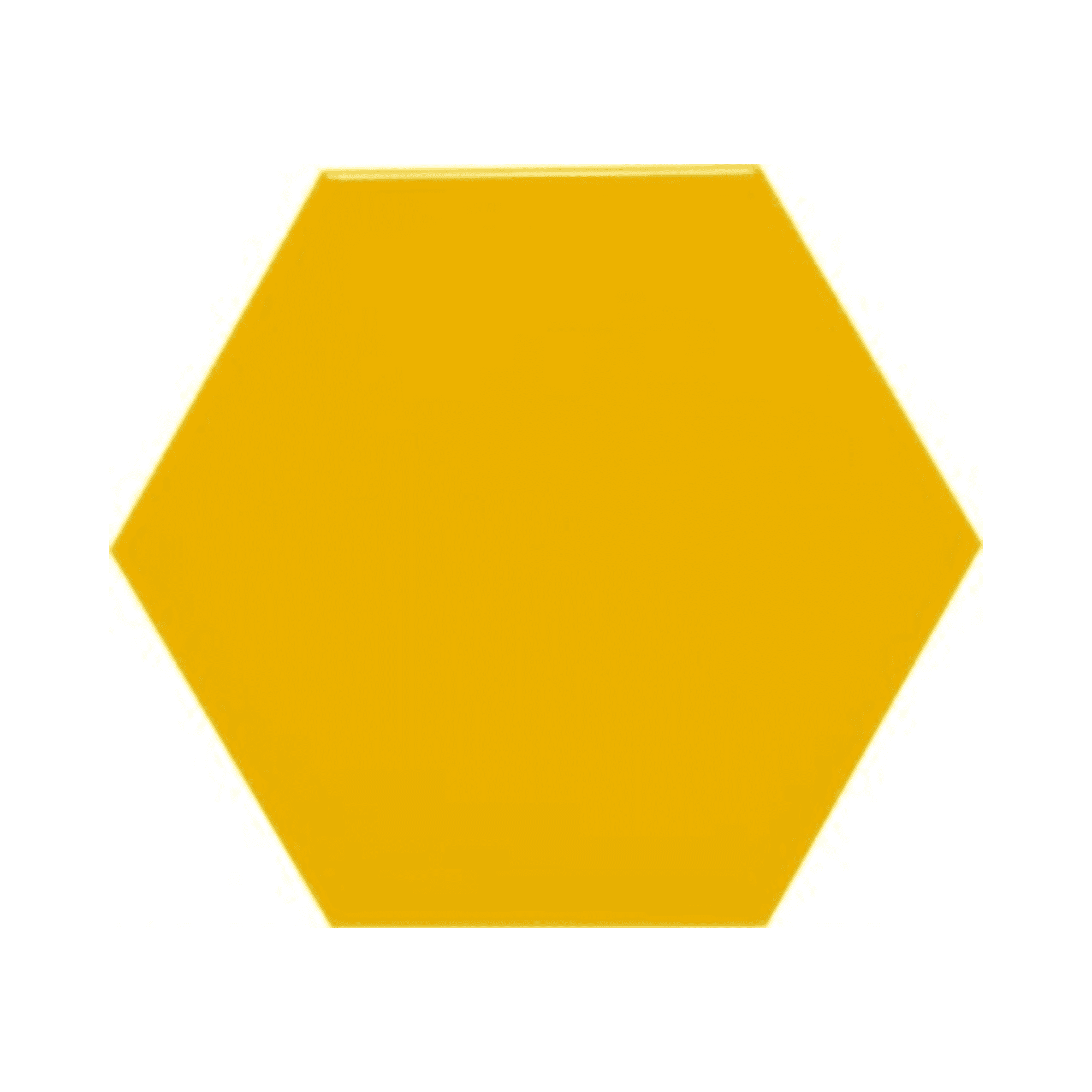 20X23 EXA GONE JAUNE – Image 2