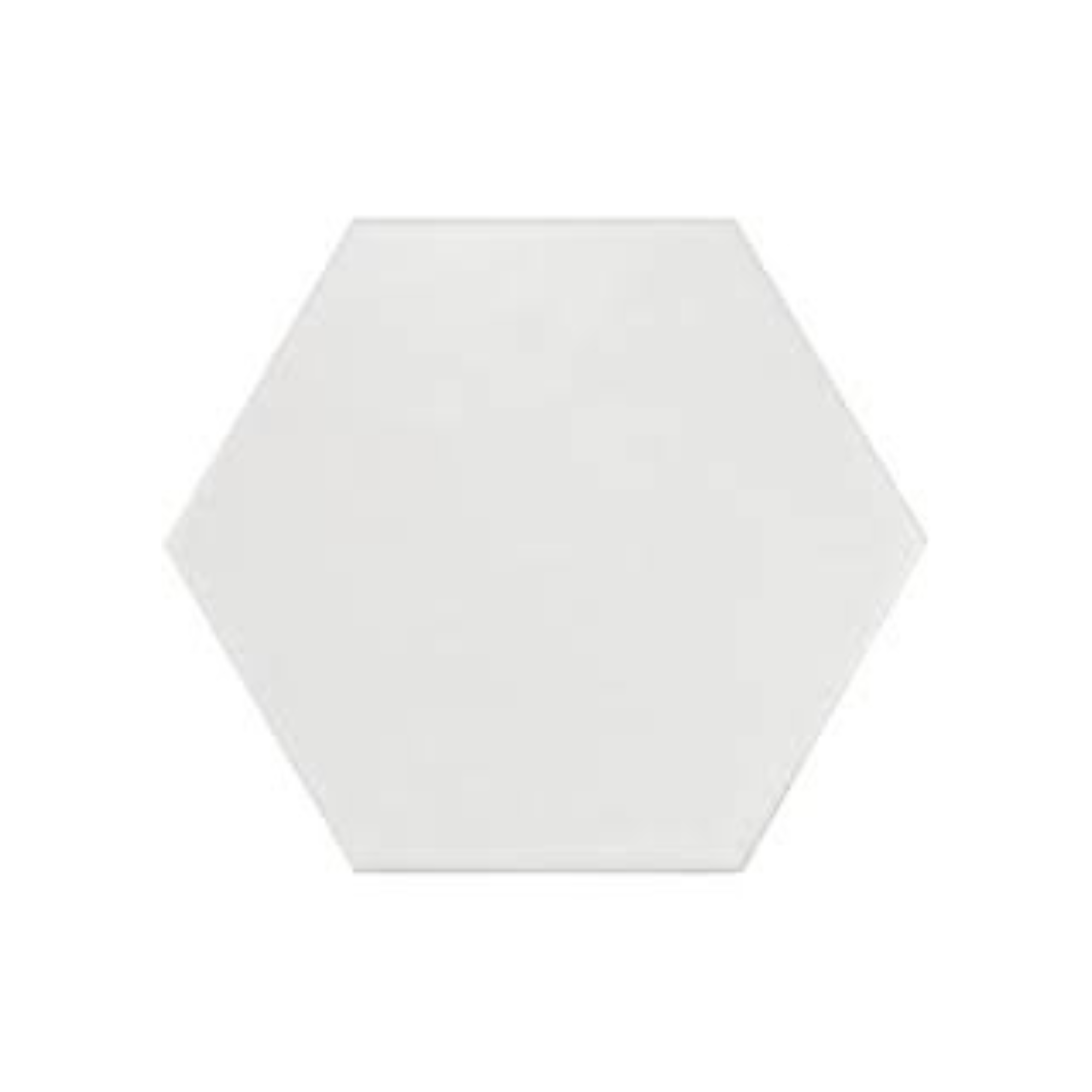 20X23 EXA GONE BLANC R10