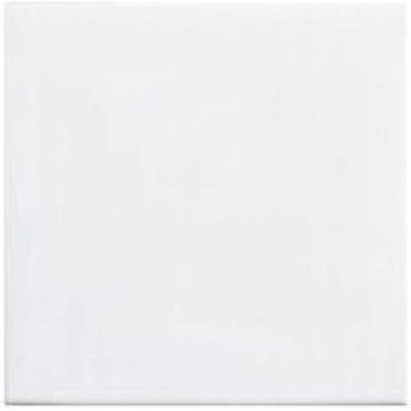 20X20 BLANC MAT - REF GENERIQUE – Image 2