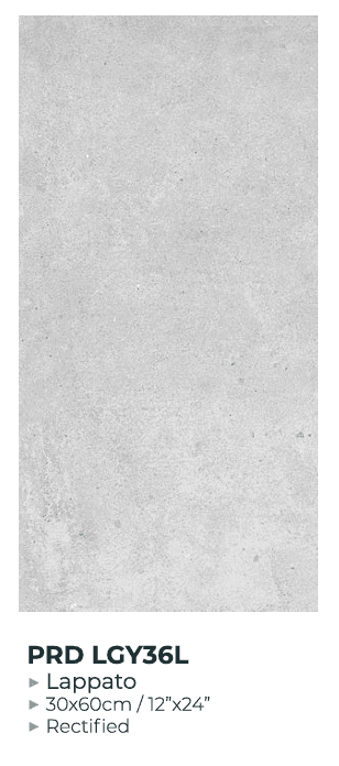 30X60 PARADA GRIS CLAIR LAPATO - REF GENERIQUE