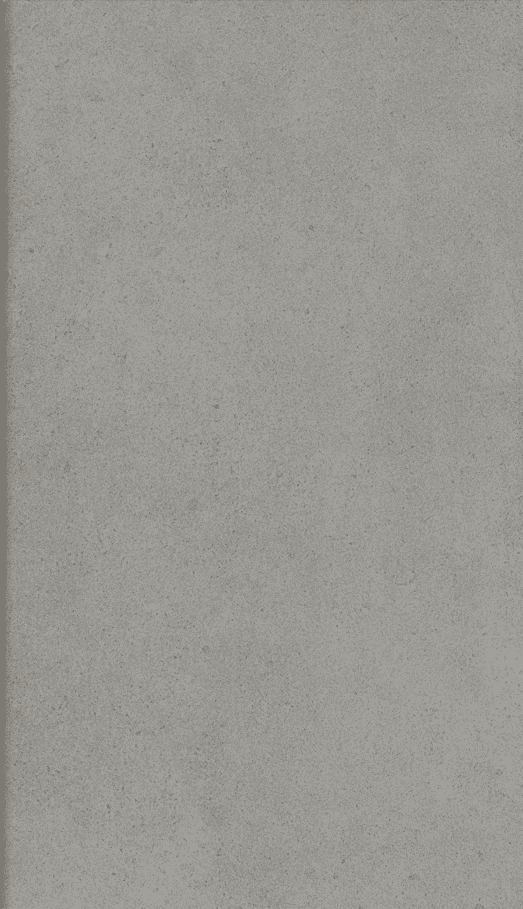 30X60 PARADA GRIS MARGELLE 2CM - REF GENERIQUE