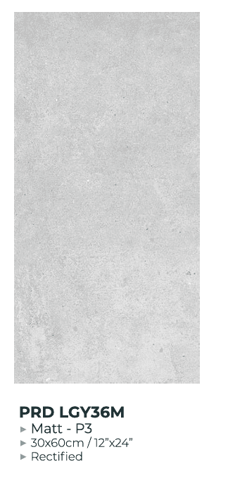 30X60 PARADA GRIS CLAIR MAT - REF GENERIQUE