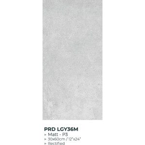 30X60 PARADA GRIS CLAIR MAT - REF GENERIQUE