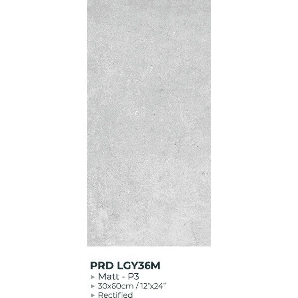 30X60 PARADA GRIS CLAIR MAT - REF GENERIQUE