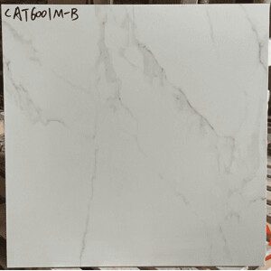 60X60 MARBRE CARRARE BLANC R9