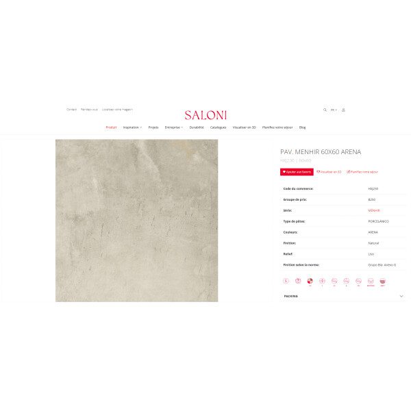 60X60 SLATE MENHIR ARENA BEIGE