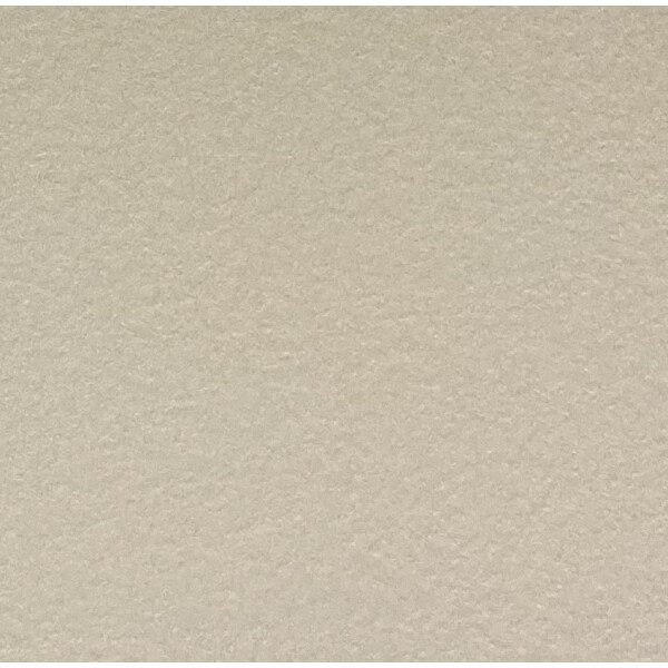30X30 ANTIDERAPANT BEIGE R12 - BND26 0.54M2 LOT666