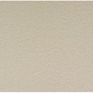 30X30 ANTIDERAPANT BEIGE R11 PLEINE MASSE LOT682