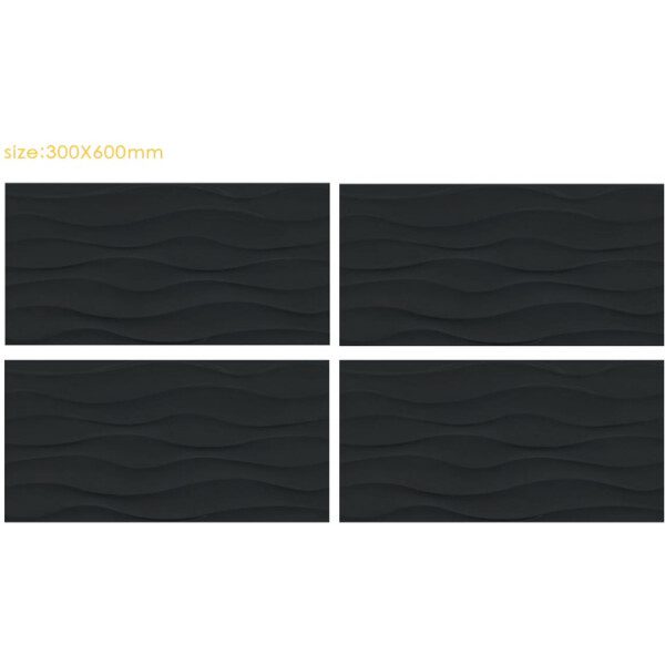 30X60 RECIF NOIR MAT - REFERENCE GENERIQUE