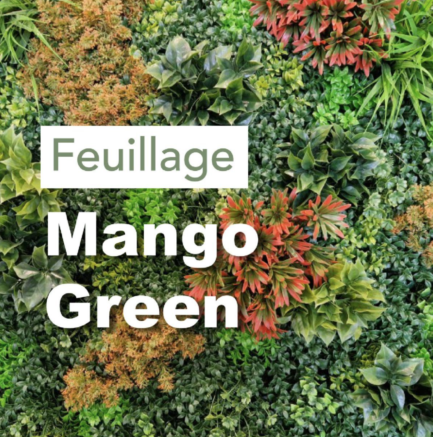 100X100 MUR VEGETAL MANGO