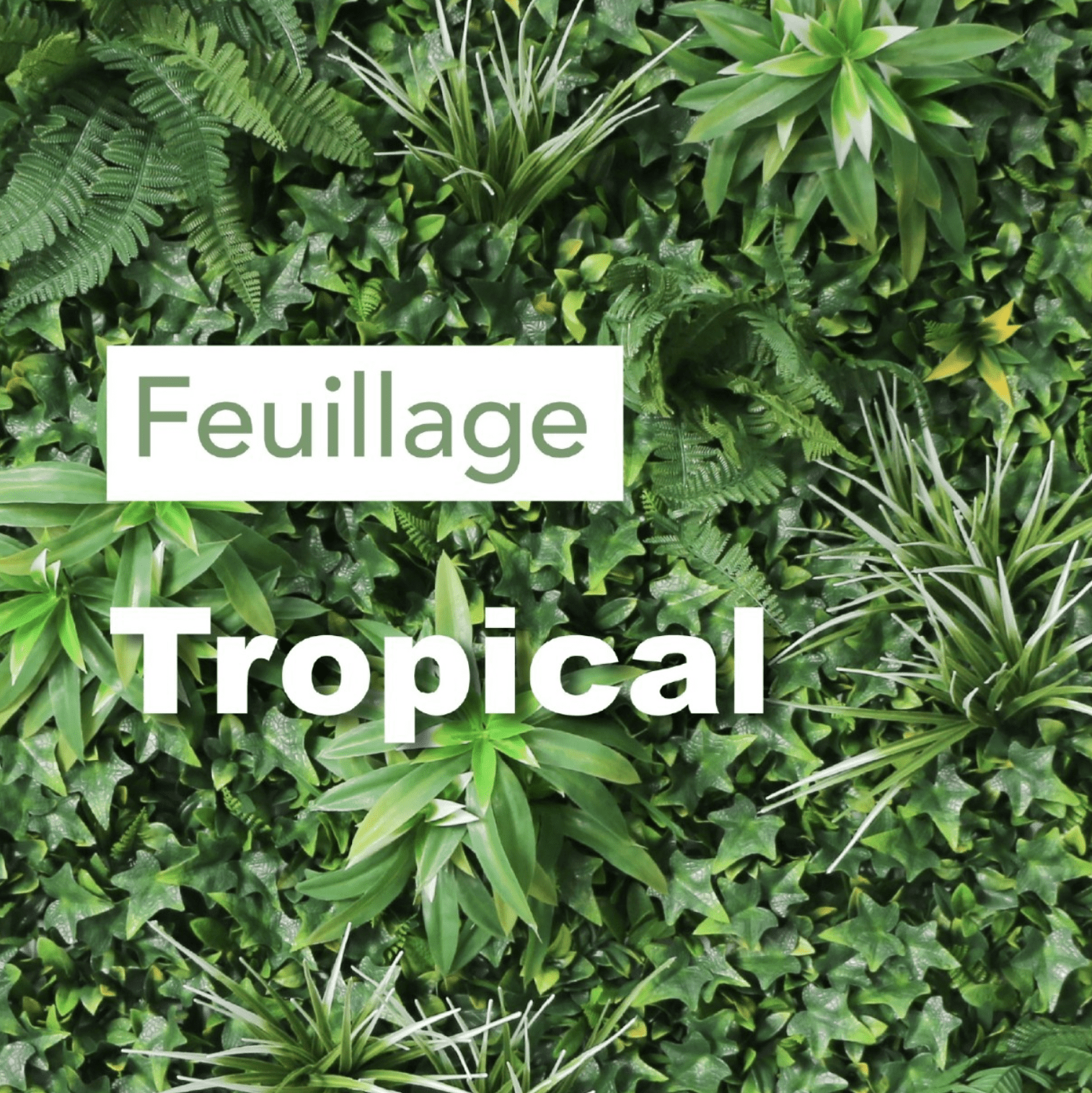 100X100 MUR VEGETAL TROPICAL